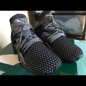 B.O.G limitlessHi animal